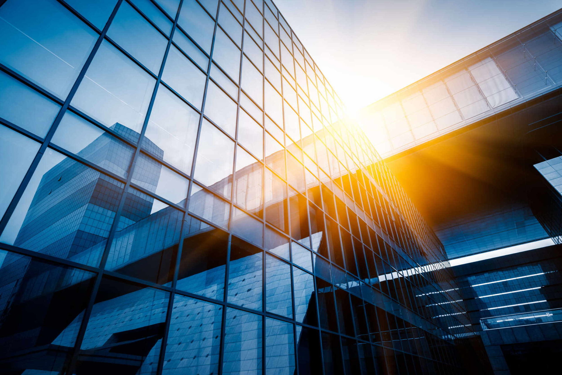 Professionelle Gebäudereinigung